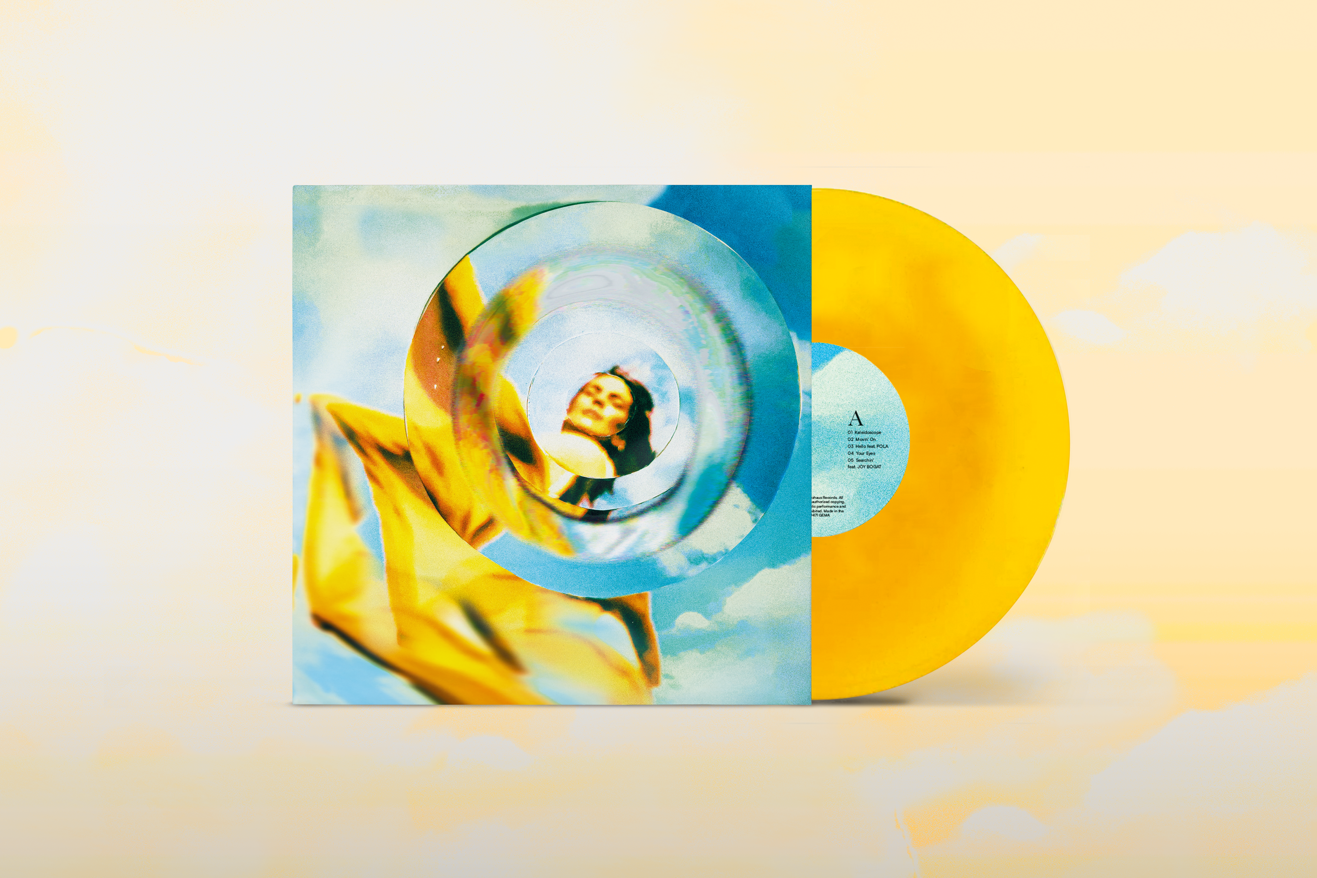 Vinyl Cover Mockup_orange-2